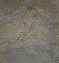 Grünes Gold – Echtsteinfurnier Quarzit & Glimmer