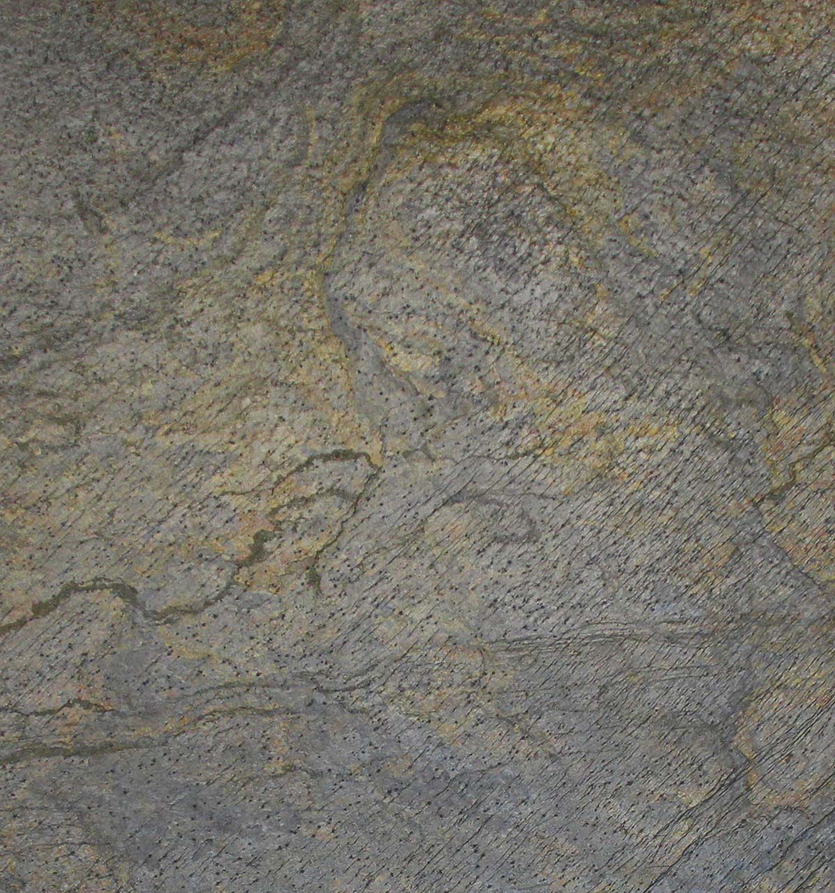 Grünes Gold – Echtsteinfurnier Quarzit & Glimmer